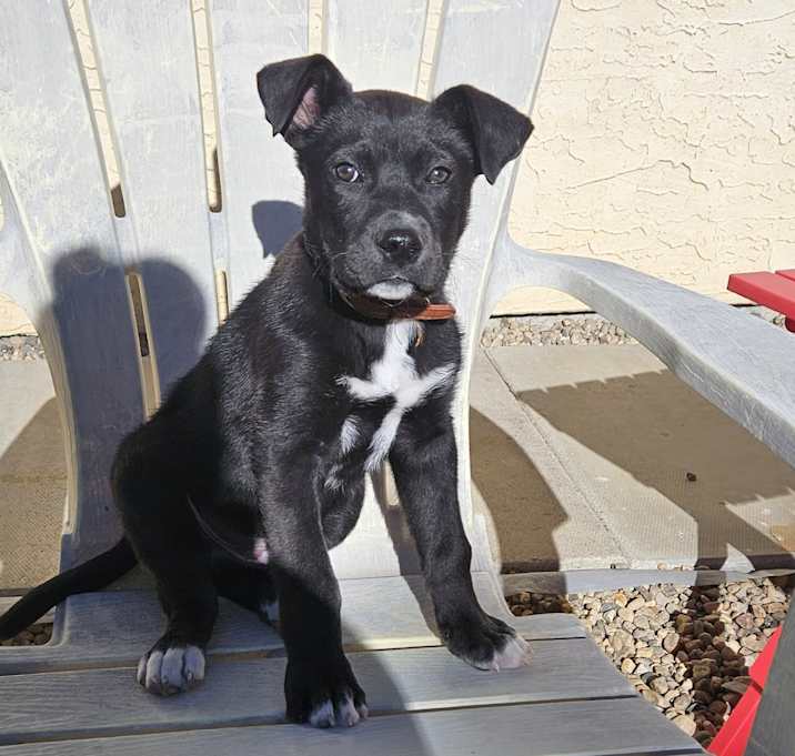 Photo of Tank