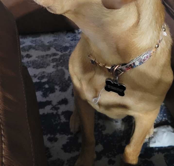 Photo of Fidelito
