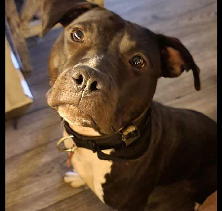 Photo of Lil
