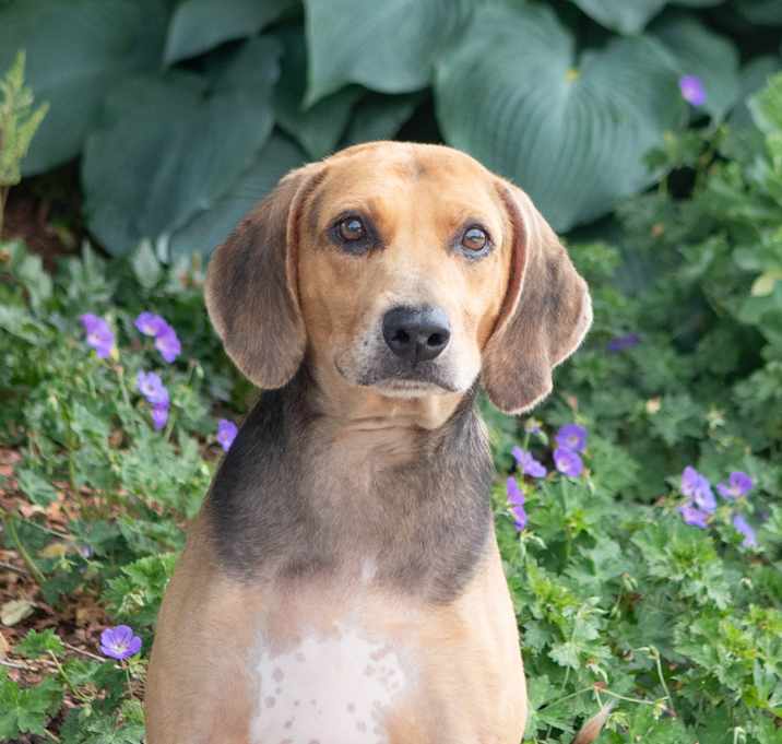 Photo of Max