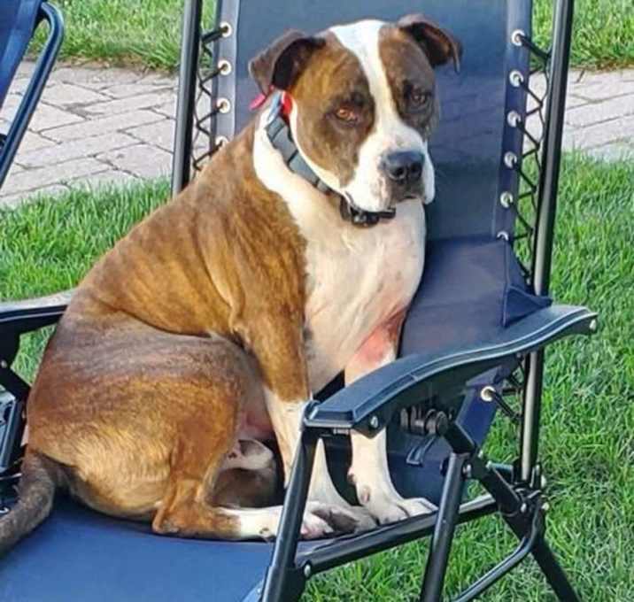Photo of Mugsy