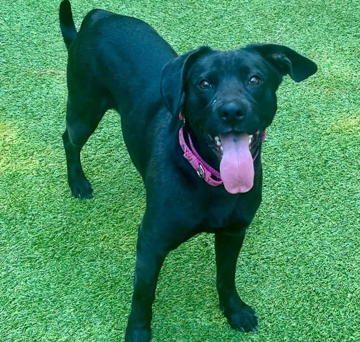 Photo of Lucy