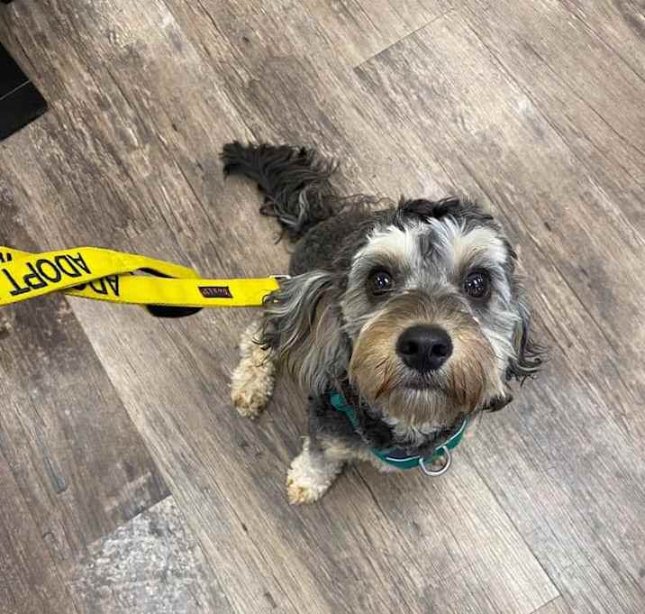 Photo of Benny