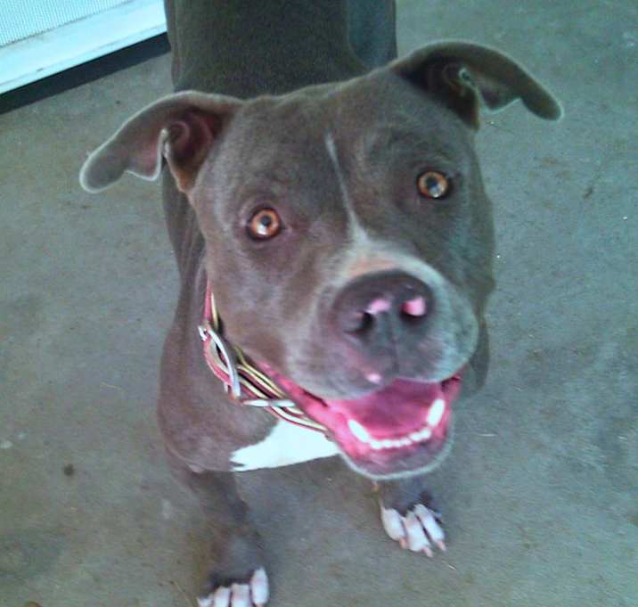 Photo of Opal