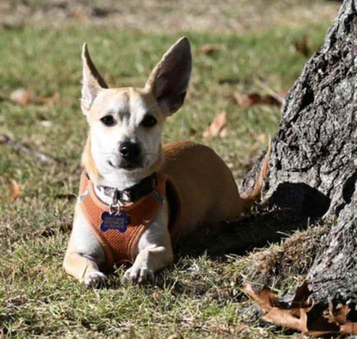 Photo of Princeton