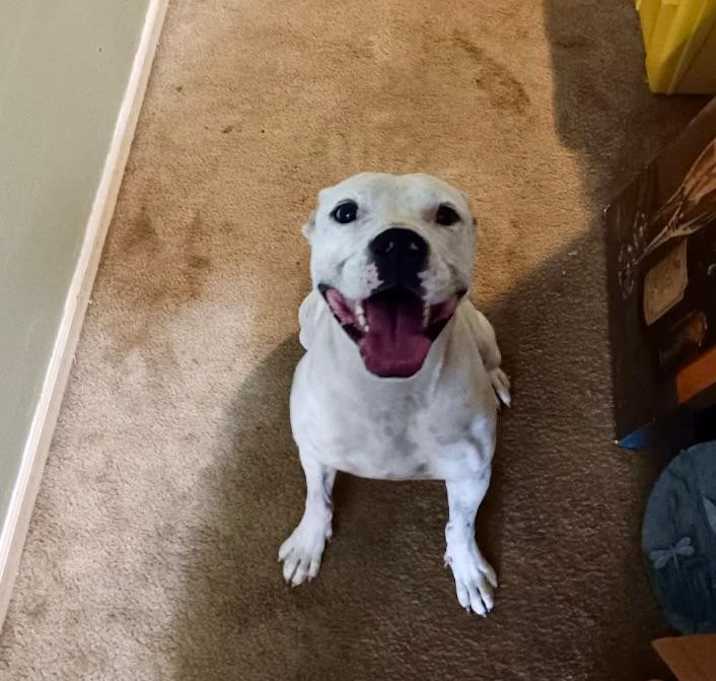 Photo of RUFUS