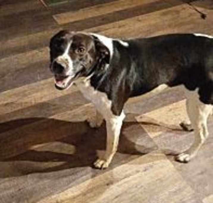 Photo of Maggie