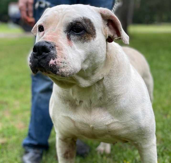 Photo of Lady Luck