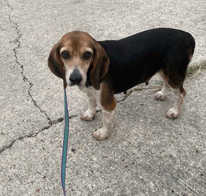 Photo of Coco Bean