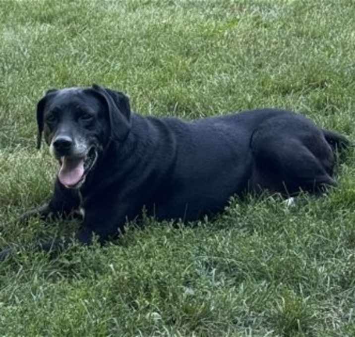Photo of Sam