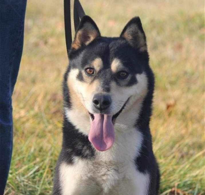 Photo of Togo