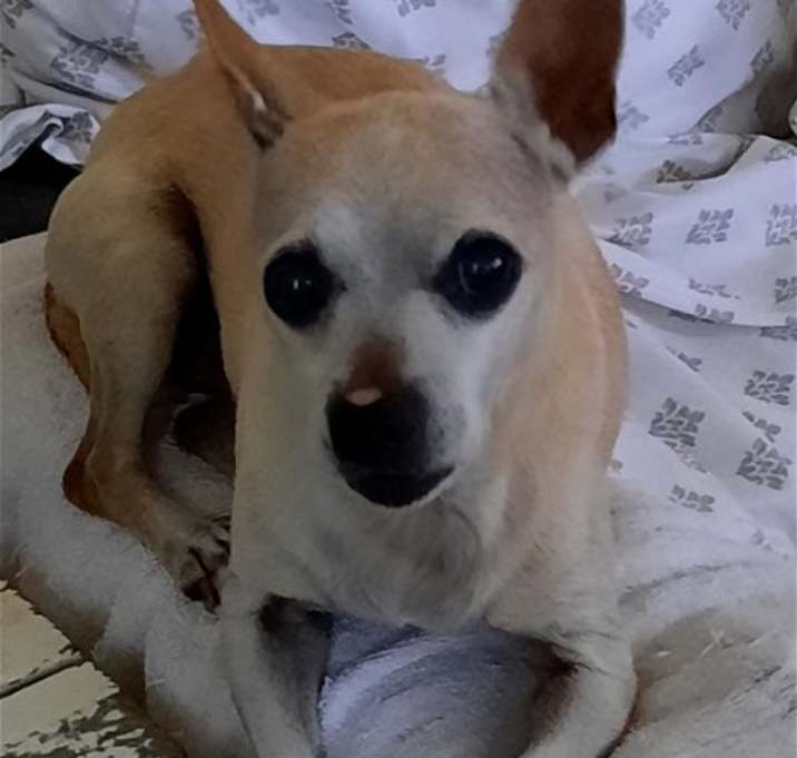 Photo of WALTER