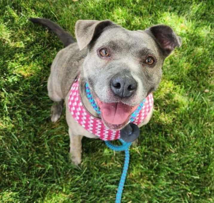 Photo of Sophie Sue