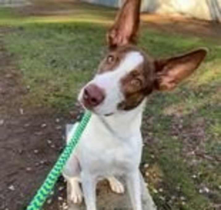 Photo of Gabriel