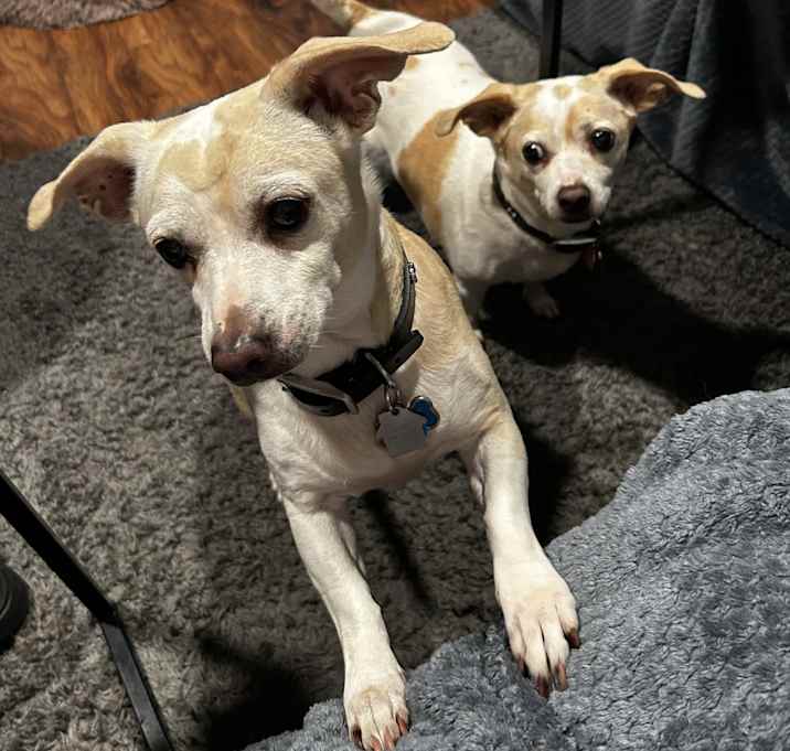Photo of Hope and Faith