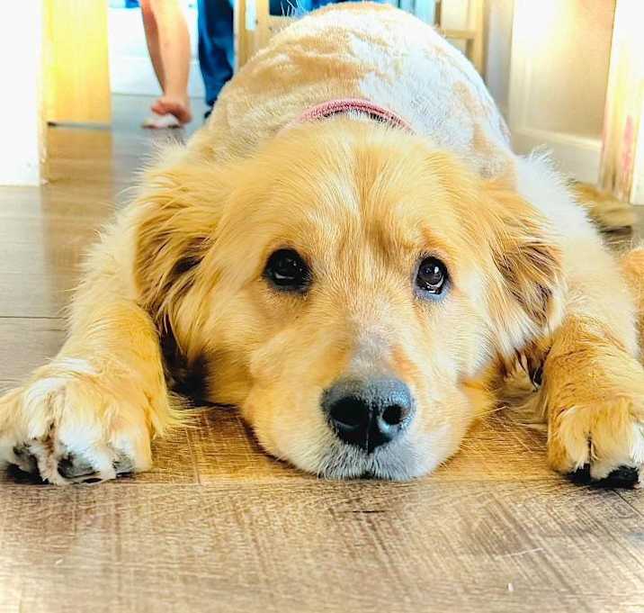 Photo of Bella