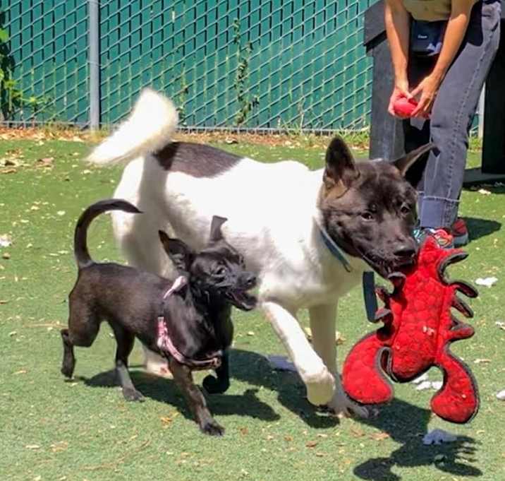 Photo of Ombre & Margarita