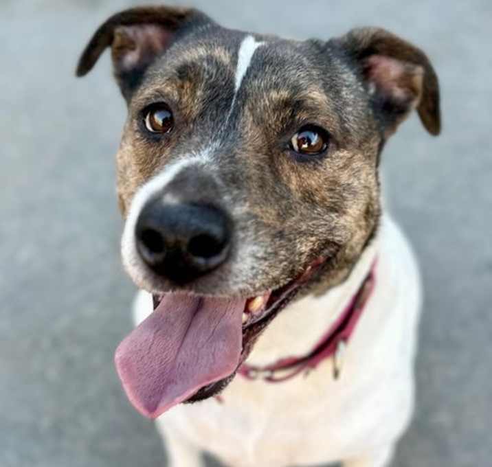 Photo of Khloe - Adopt Me!