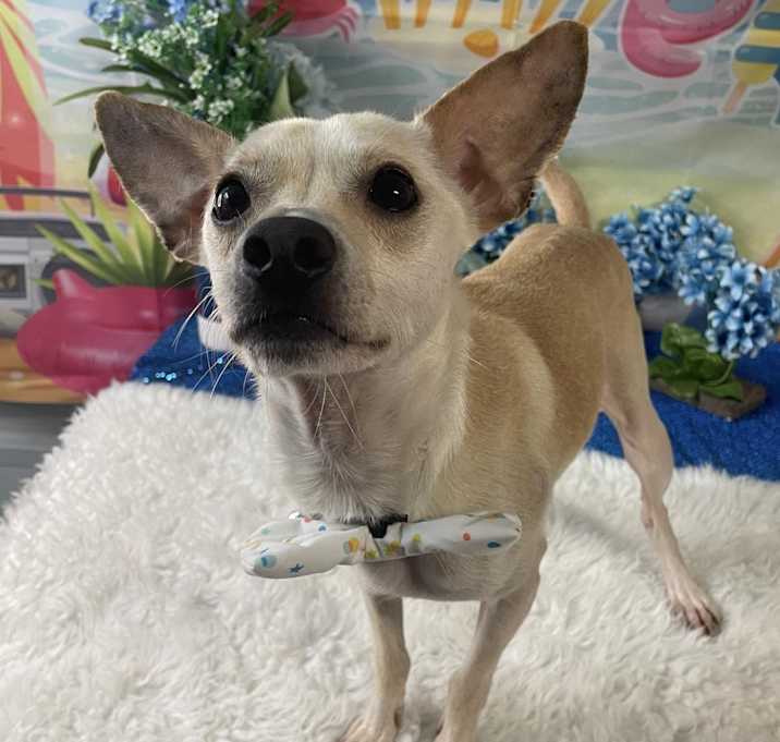 Photo of Lucky Boy