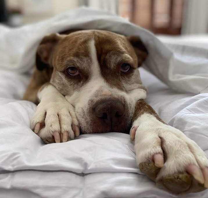 Photo of KIMBER