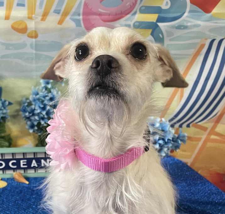 Photo of Sammi