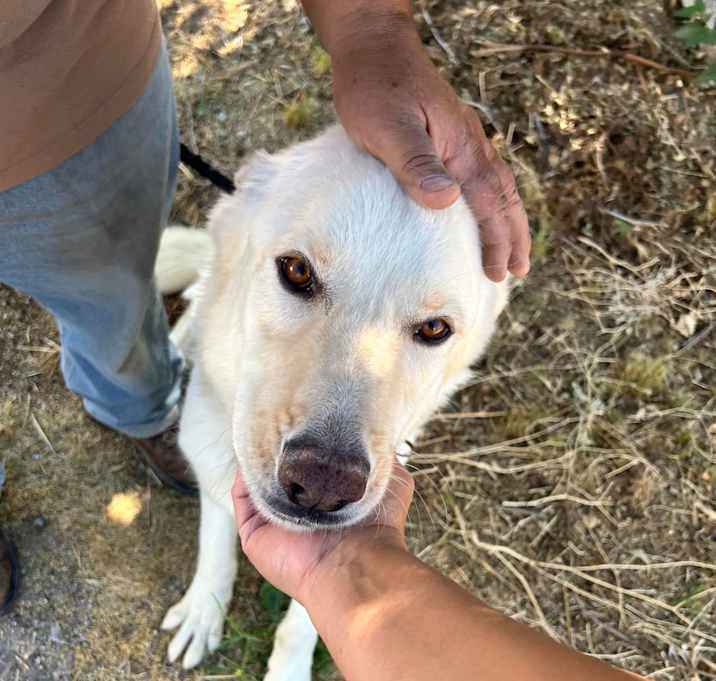 Photo of CASPER