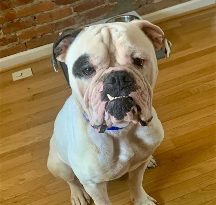 Photo of RUFIO (COURTESY POST)