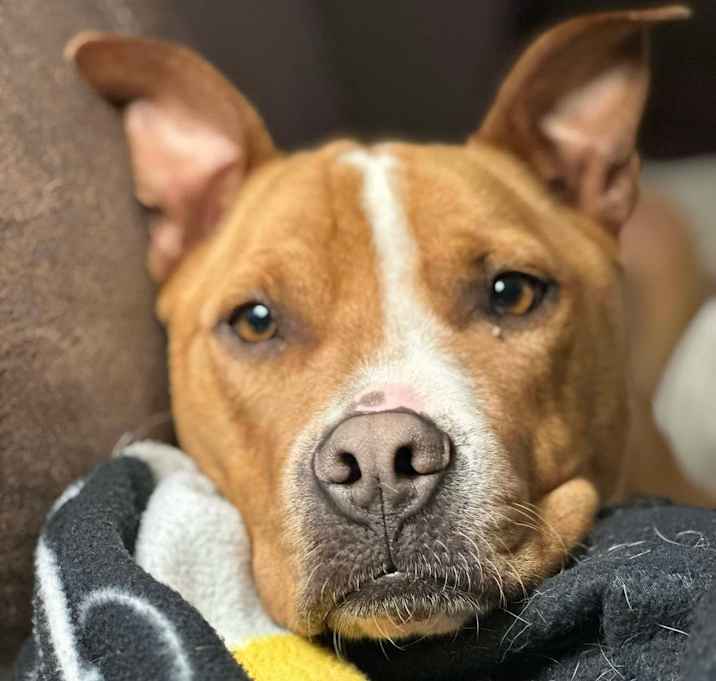 Photo of Joel