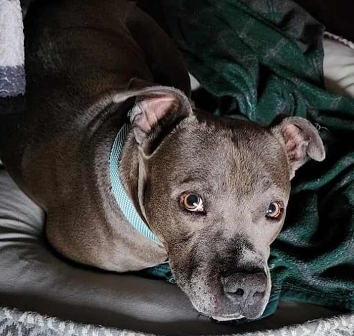 Photo of Jude