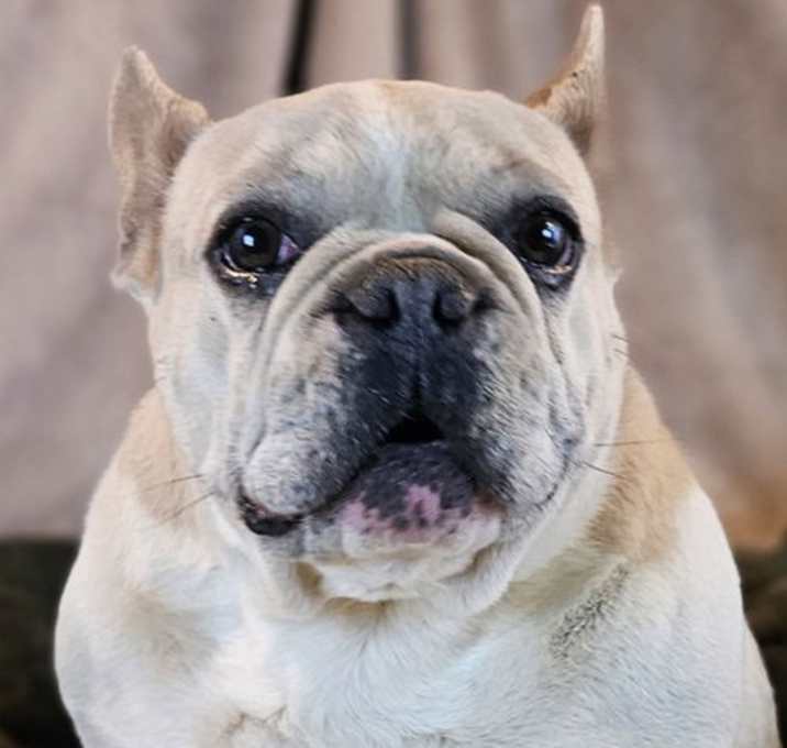 Photo of Rylee