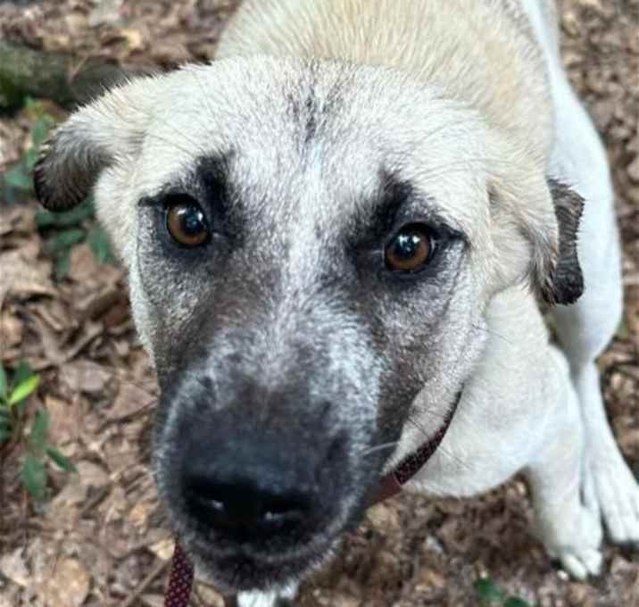 Photo of Riley