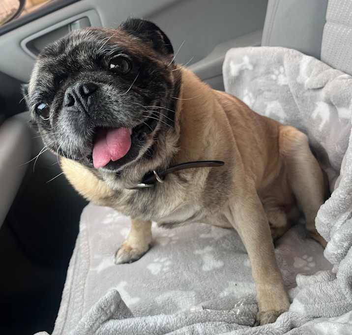 Photo of Pepper