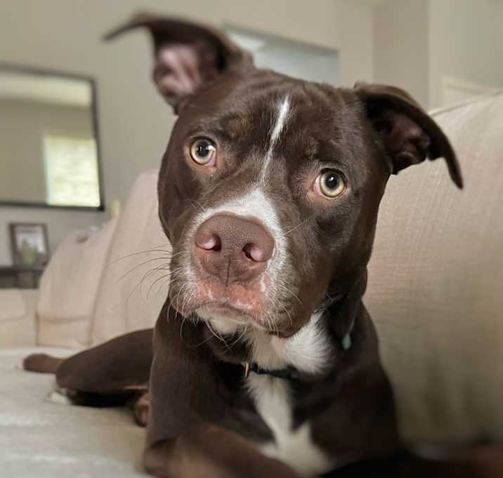 Photo of Marty