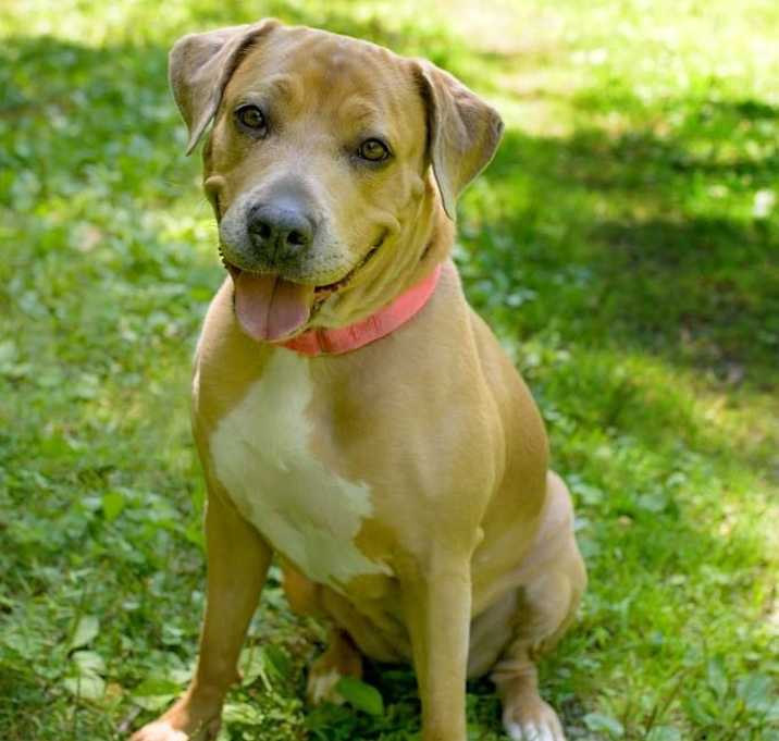 Photo of Cali