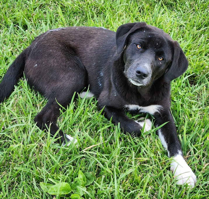 Photo of Remmie