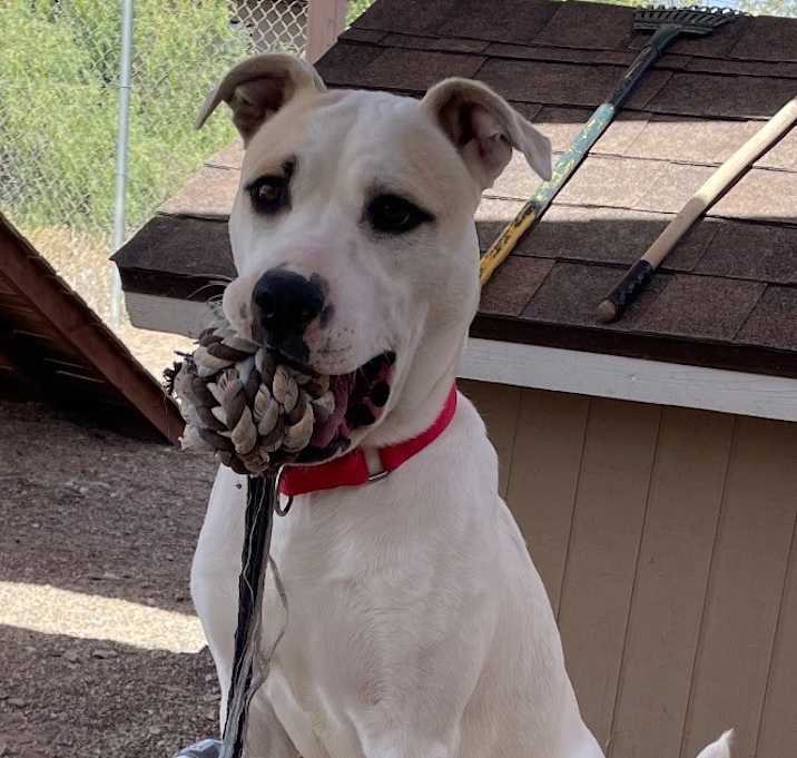 Photo of Hercules