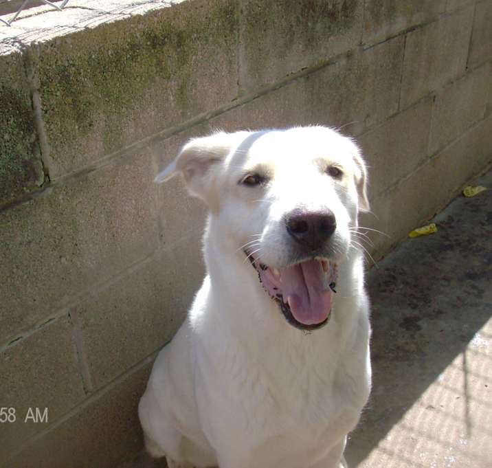 Photo of HONEY