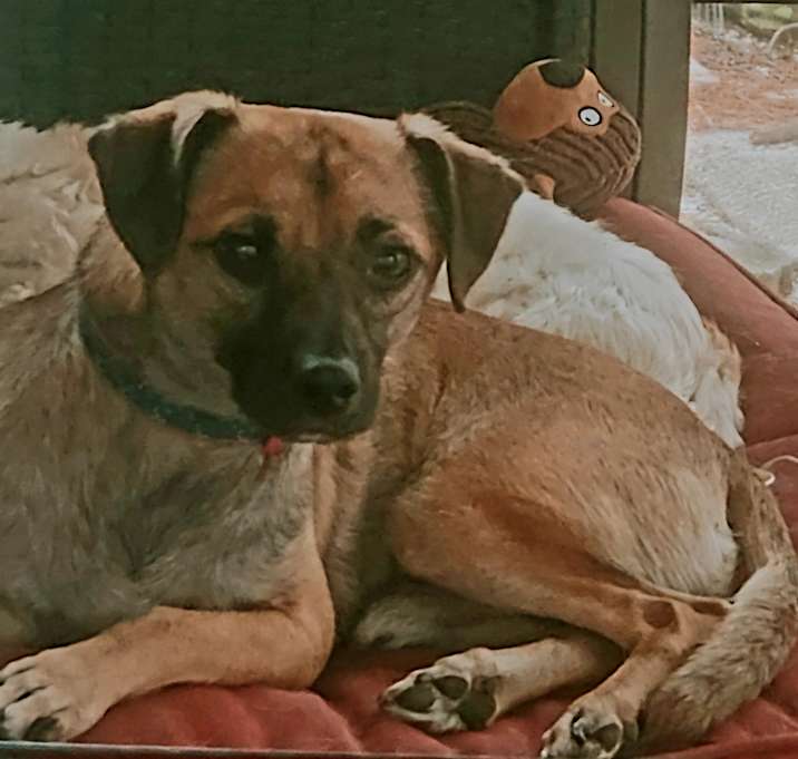 Photo of Phoenix