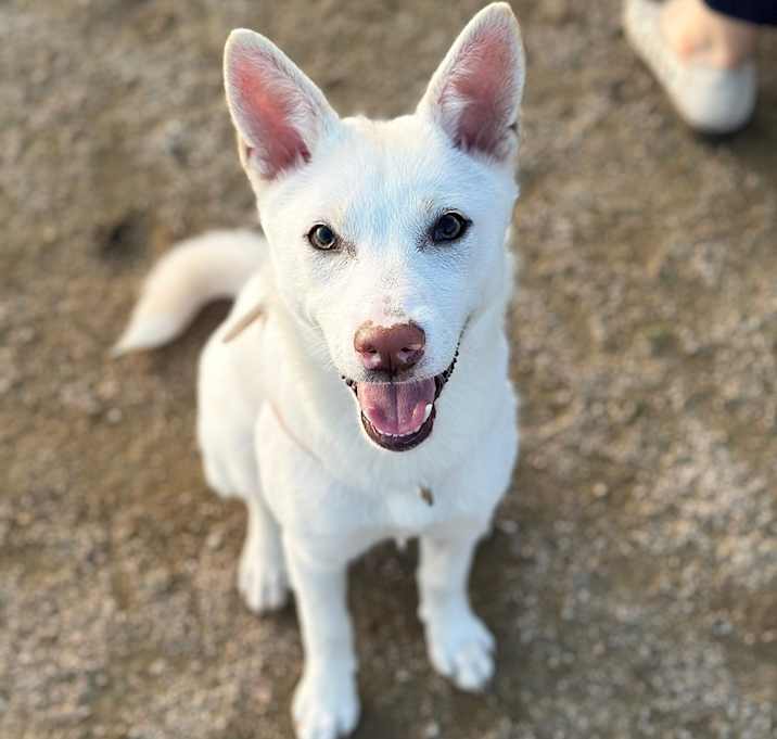 Photo of Mimi