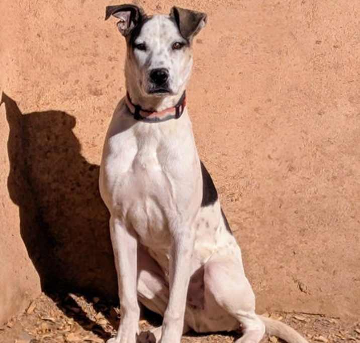 Photo of HARDEE