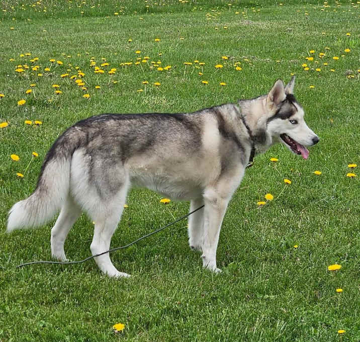 Photo of Skyler