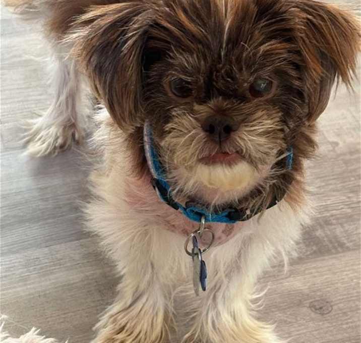 Photo of Danny