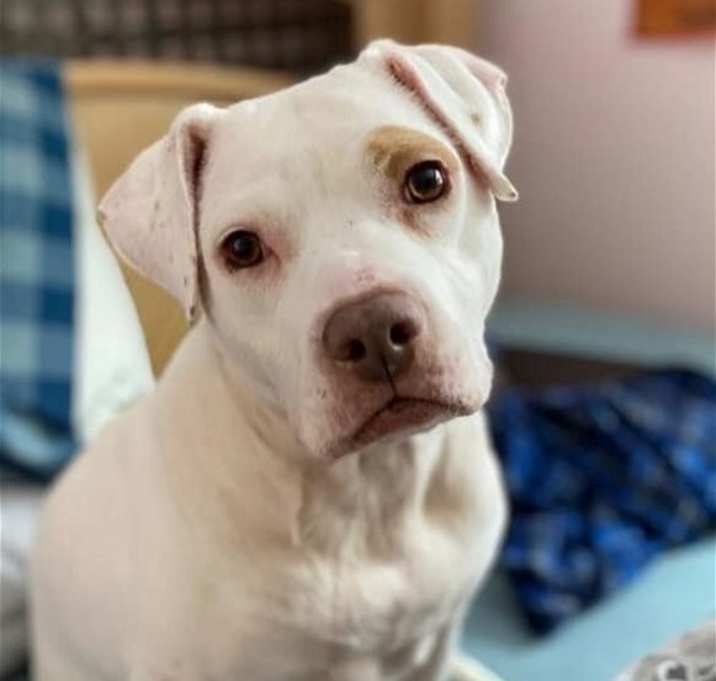 Photo of Madonna (GA)