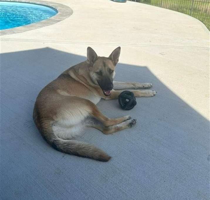 Photo of Barry (TX)