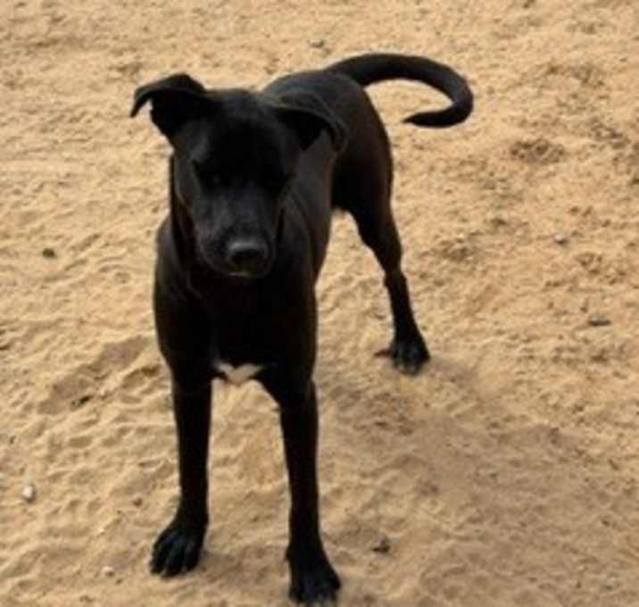 Photo of Cali