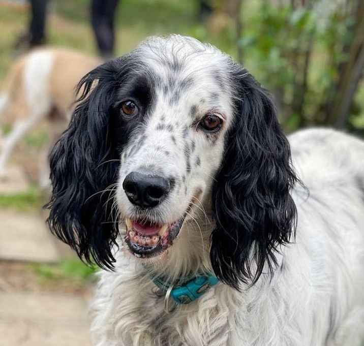 Photo of QUEENIE (Rep of Georgia) yo