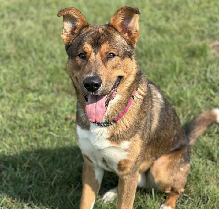Photo of Dax