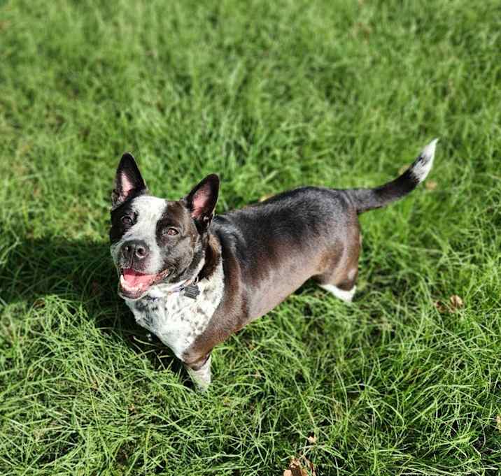 Photo of Tilly
