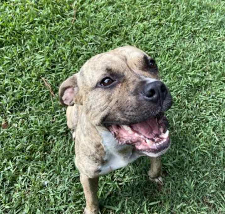 Photo of Baby Girl (HW+)