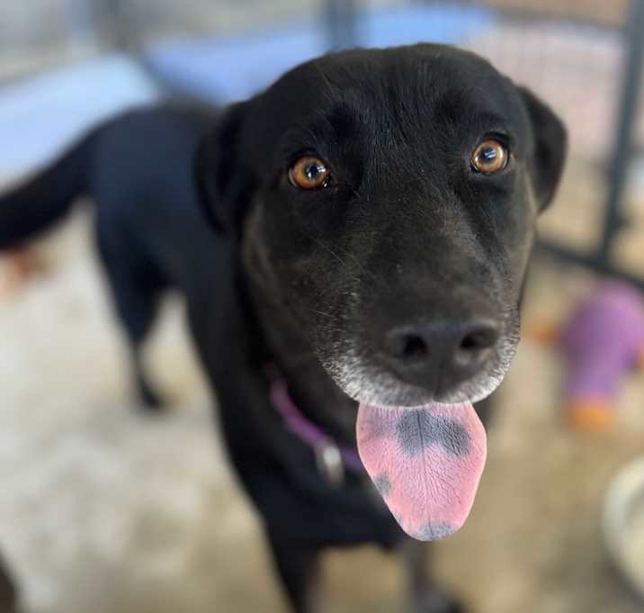 Photo of Momma
